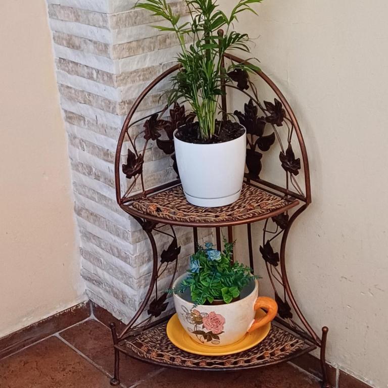 Vila Tošanić - Apartman - Prizemlje - 40