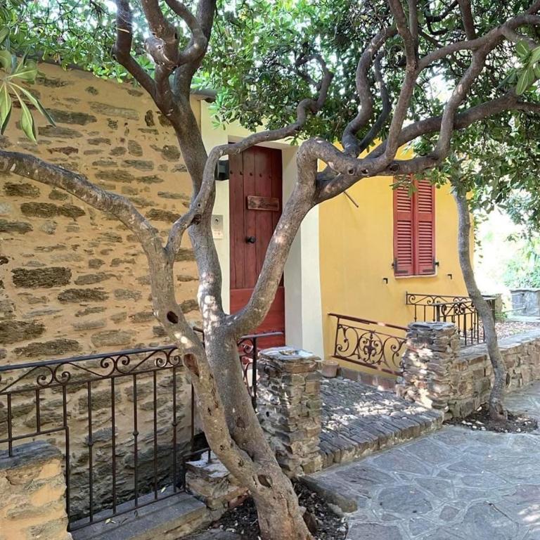 La Brigandine - Appartement 2 Chambres - 2