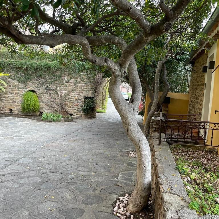 La Brigandine - Appartement 2 Chambres - 16