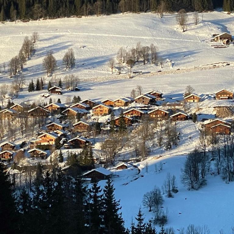 Cosymontagne - Le Chalet - 3Ch - 8 pers- Terrasse Sud, magnifique vue - Chalet con 3 Camere da Letto - 28
