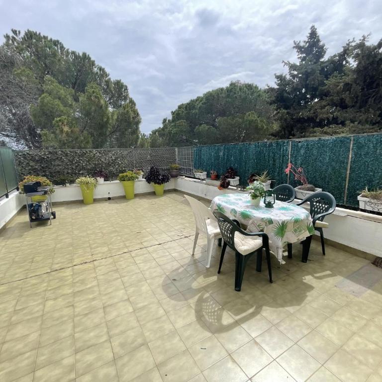 Pujada Puig Rom - Apartment - 12