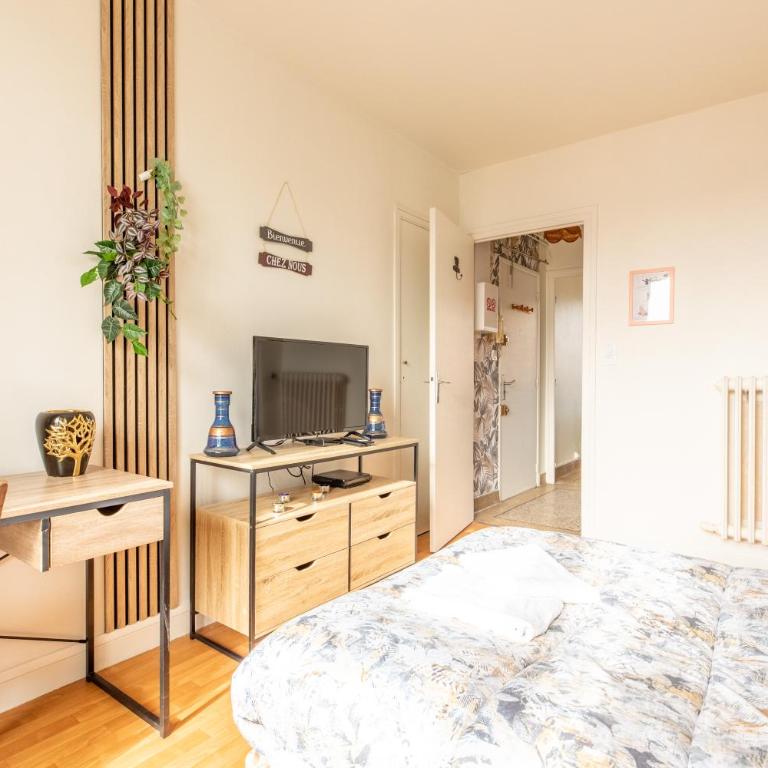 Cosy T1 Lavoisier tout équipée avec balcon CL-FD - Apartamento de 1 dormitorio - 3