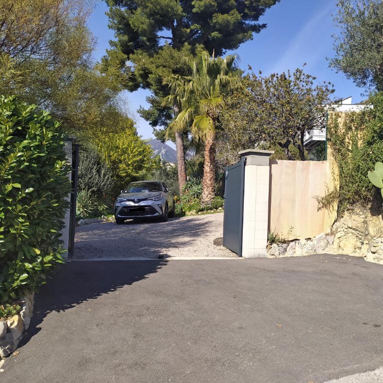 456 Chemin de la Pinède - Appartement 1 Chambre - 11