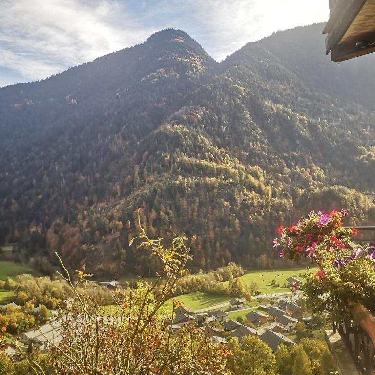 Savoie, Simple mais confortable - Chambre Double - Vue sur Montagne - 11