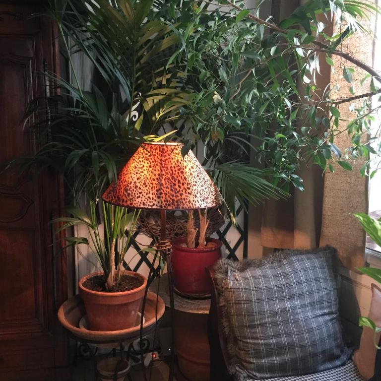"Chambre d'Autres", massages - Chambre Double - 21