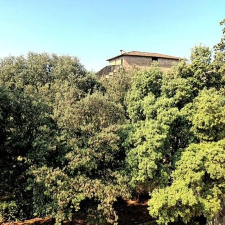 * * * * * Casa vista Boboli nel cuore di Firenze - Appartamento con 2 Camere da Letto - 10
