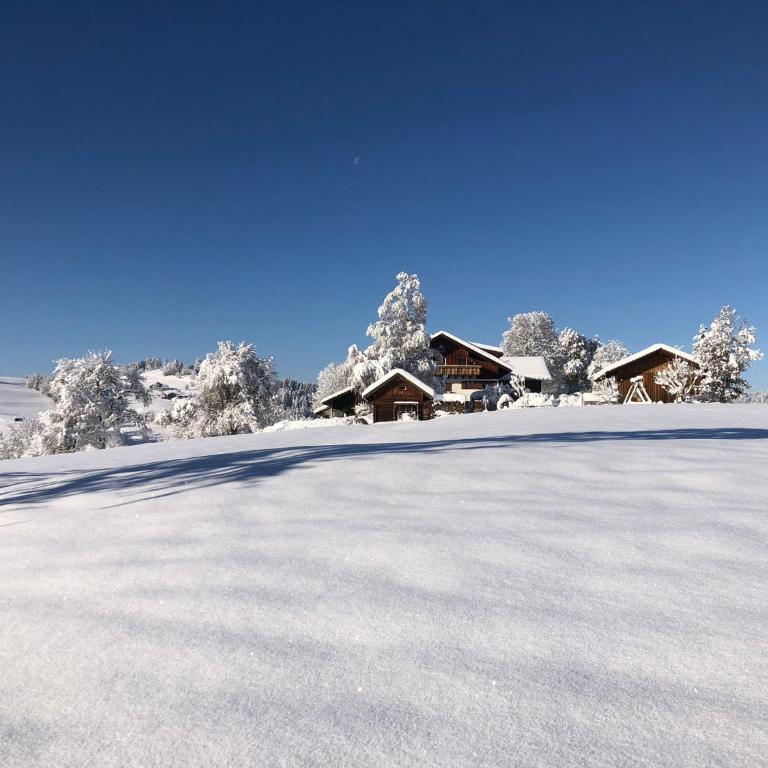 Ferienwohnung Aigisblick mit Pool und Sauna, direkt am Skihang - Apartment mit 1 Schlafzimmer - 23