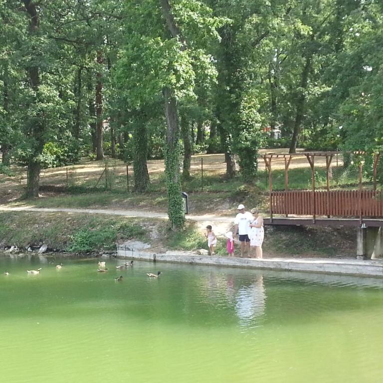 Charmant T2 PISCINE chambre lit double dans résidence du Lac - Apartamento de 1 dormitorio - 45