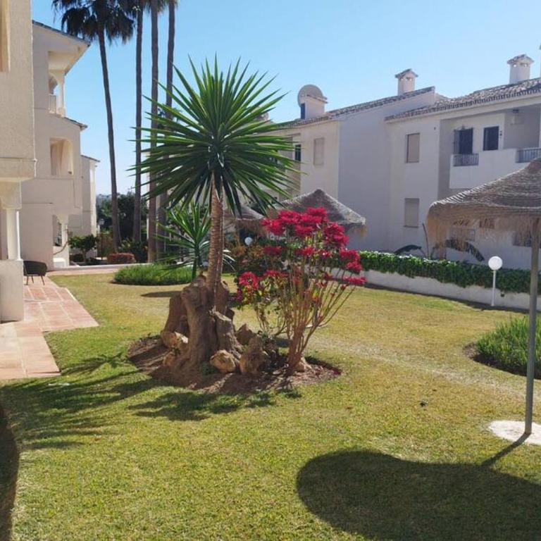Las Farolas Sun & Sea - Apartamento de 2 dormitorios - 16