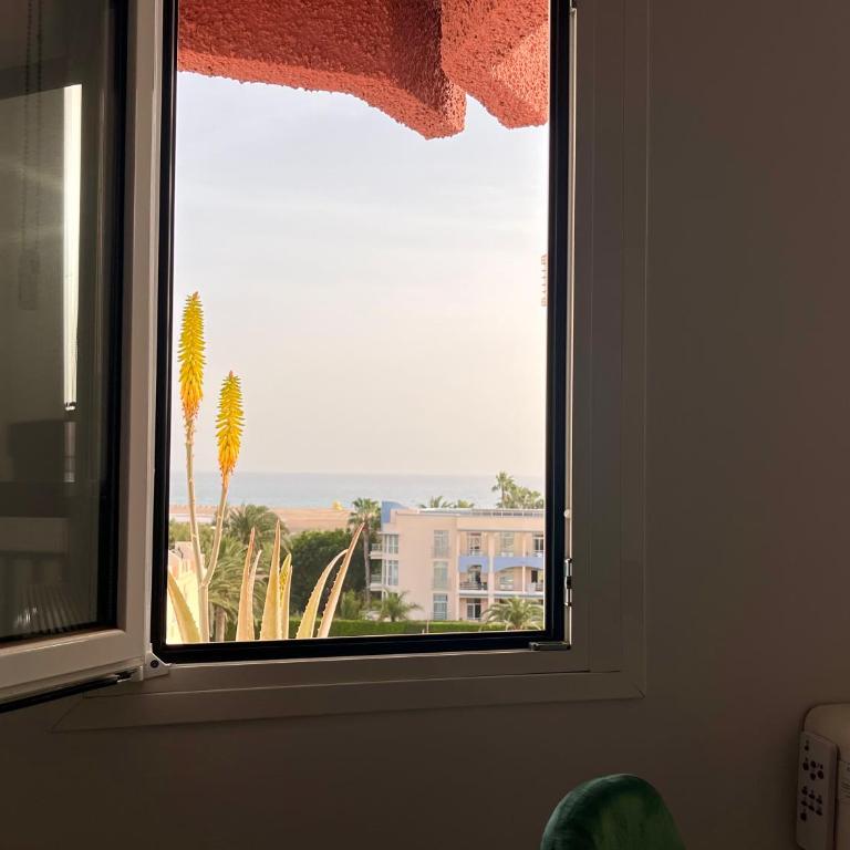 Jandia Beach Apartment 2 - Apartamento de 2 dormitorios - 28