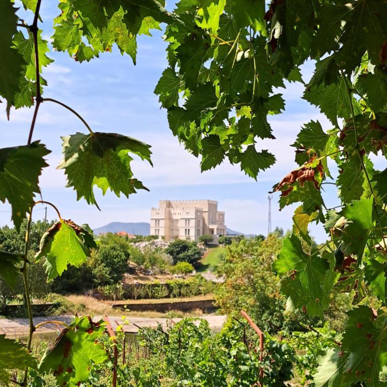 UKROPINA APARTMENTS - Apartman sa 1 Spavaćom Sobom - 2