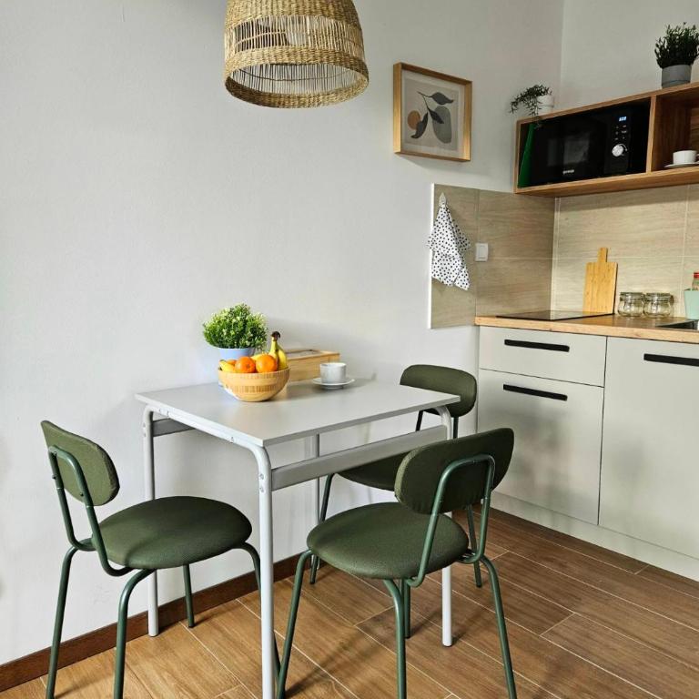 Studio Apartman Nomad Divčibare - Studio apartman sa 1 bračnim krevetom - 9