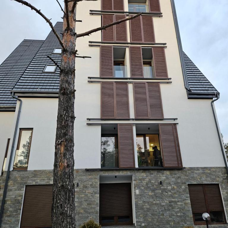 Studio Apartman Nomad Divčibare - Studio apartman sa 1 bračnim krevetom - 22