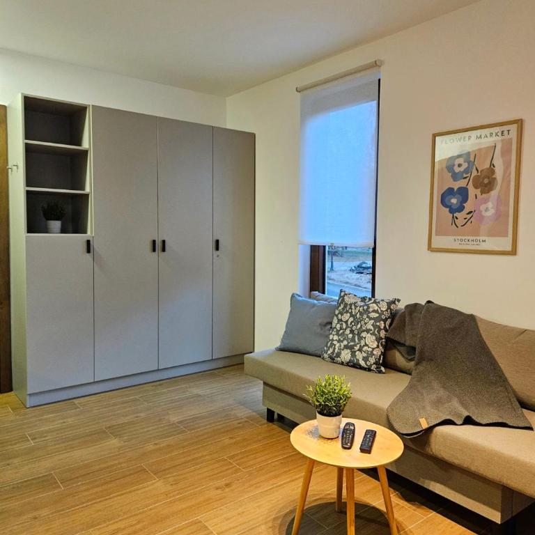 Studio Apartman Nomad Divčibare - Studio apartman sa 1 bračnim krevetom - 7