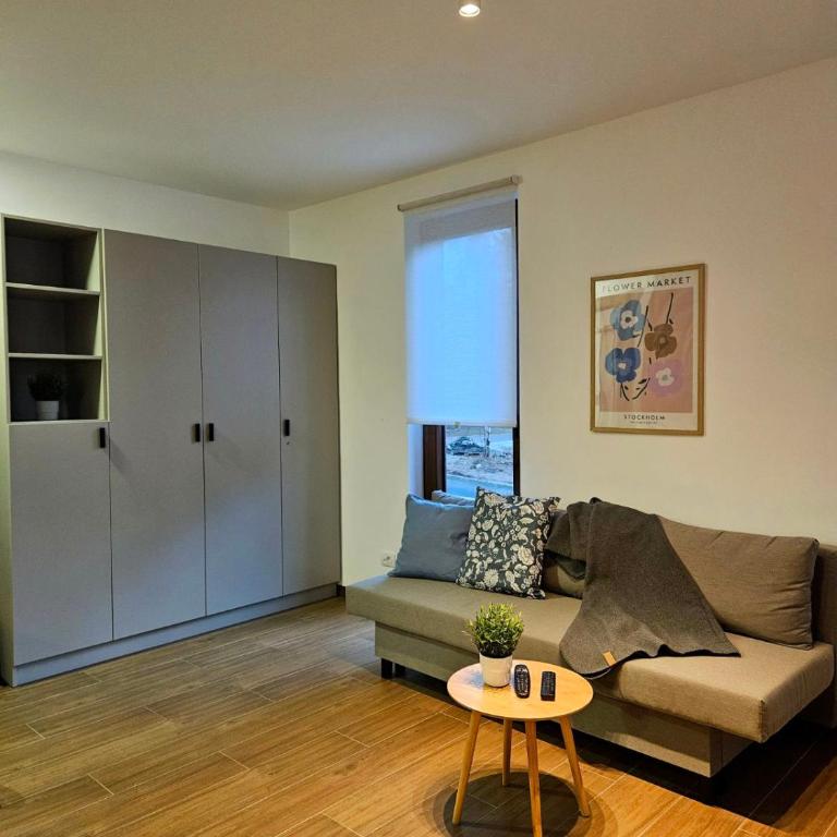 Studio Apartman Nomad Divčibare - Studio apartman sa 1 bračnim krevetom - 3