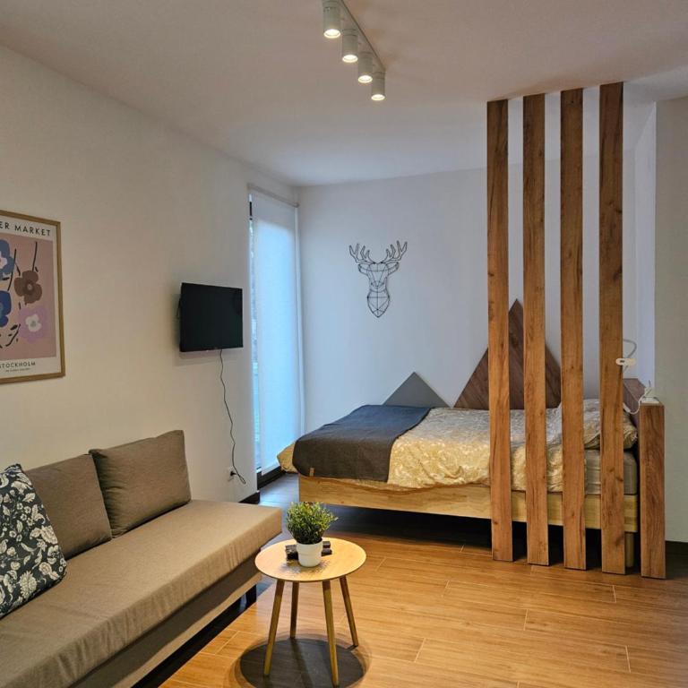 Studio Apartman Nomad Divčibare - Studio apartman sa 1 bračnim krevetom - 4