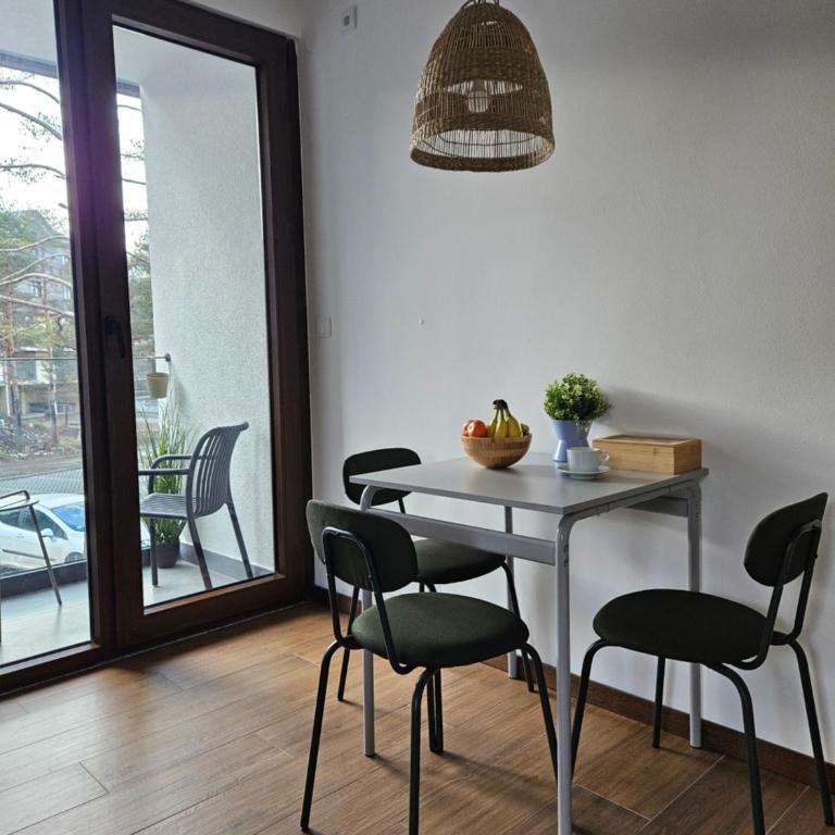 Studio Apartman Nomad Divčibare - Studio apartman sa 1 bračnim krevetom - 11
