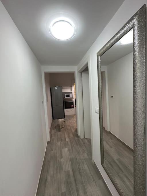 Rivers Malavolta - One-Bedroom Apartment - 6