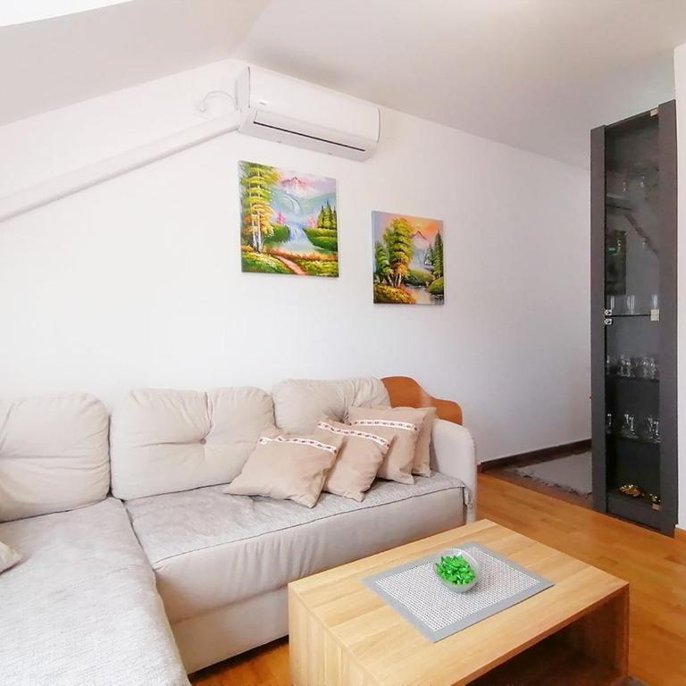 Apartman Andjelkovic - Apartman sa 1 Spavaćom Sobom - 14