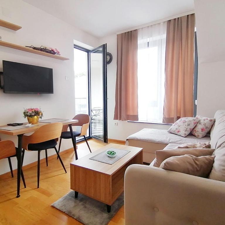 Apartman Andjelkovic - Apartman sa 1 Spavaćom Sobom - 1