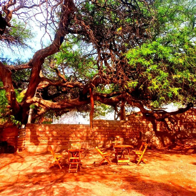 Complejo Turístico El Legado del Tata & La Posta de Viltipoco - Apartamento con vistas a las montañas - 19