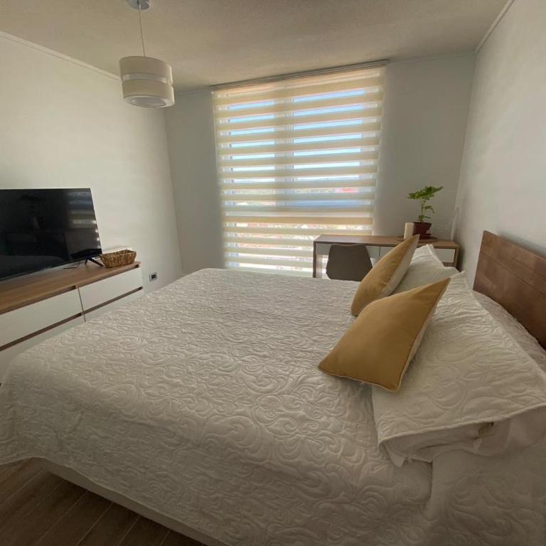 Departamento Studio Isla Teja - One-Bedroom Apartment - 3