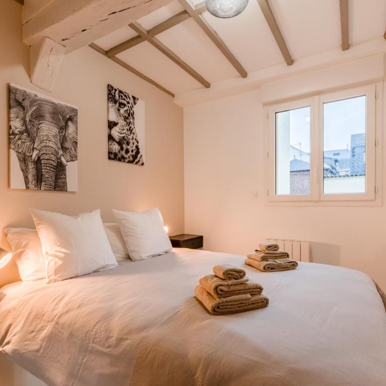 Villa Caron - Appartements haut de gamme avec chambre hyper centre - Appartement 1 Chambre - 2