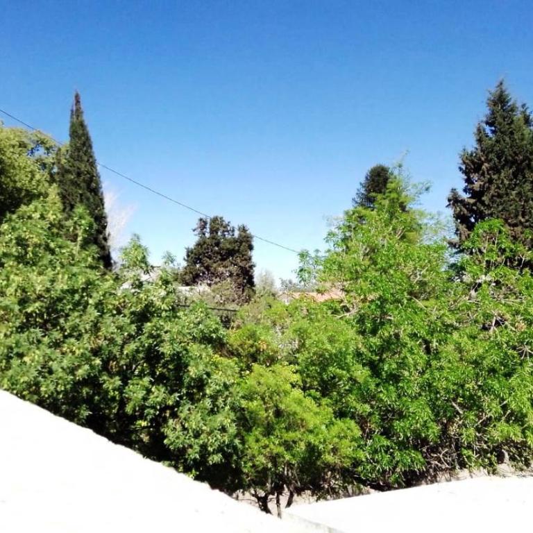 Calle Angosta Departamentos - Apartamento de 1 dormitorio - 10