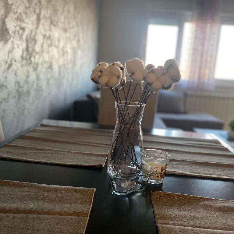 Malina 24 - Apartman sa 1 Spavaćom Sobom - 8