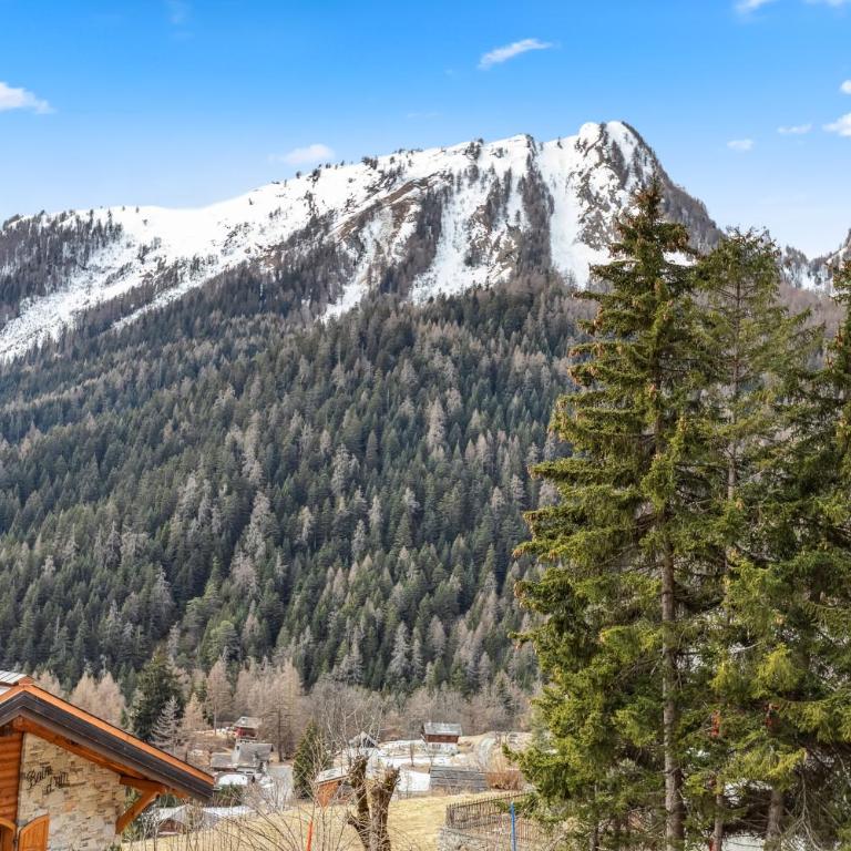 Chalet spacieux et pittoresque - Superior Chalet - 2