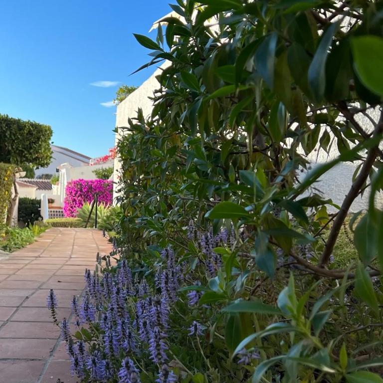 Apartamento Capuchinos, San Juan de Capistrano - Apartamento de 2 dormitorios - 24