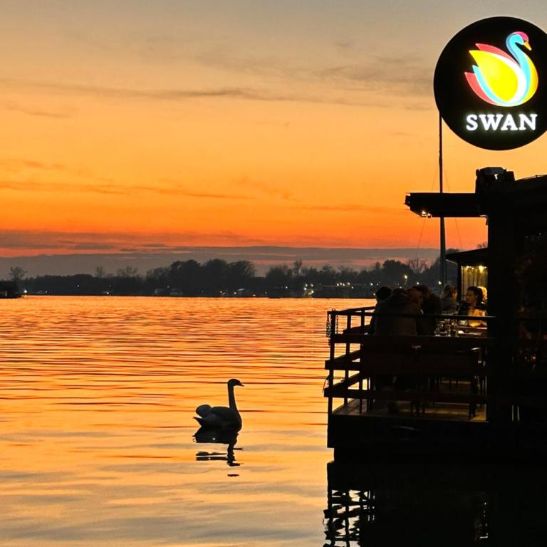 Swan - Dvokrevetna Soba sa Bračnim Krevetom i Spa Kadom - 4