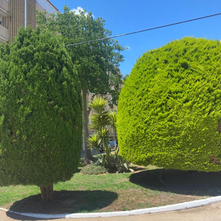 Saona Sea - Apartamento con vistas en zona arenal, Jávea - Apartamento de 1 dormitorio - 34
