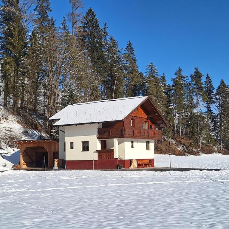 Chalet Lärchforst - Ferienhaus - 1