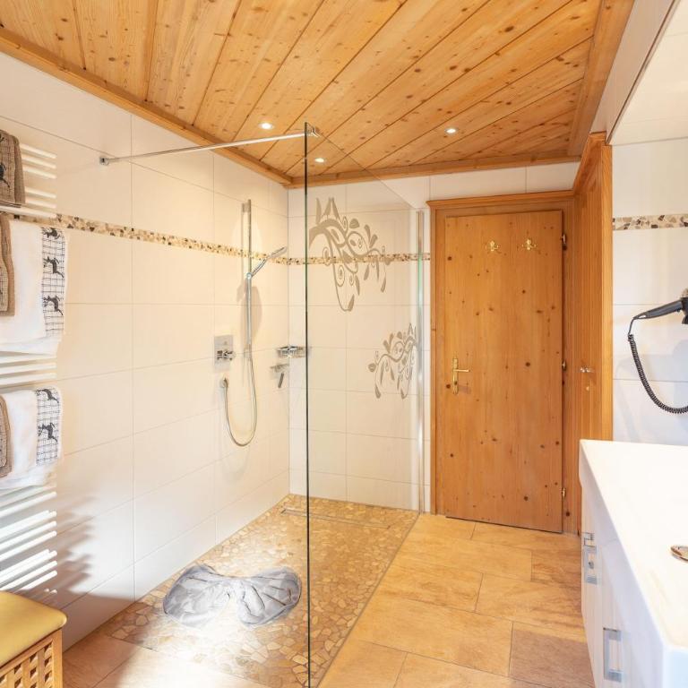 Landhaus Schenk Breitenberg - Apartment - 4
