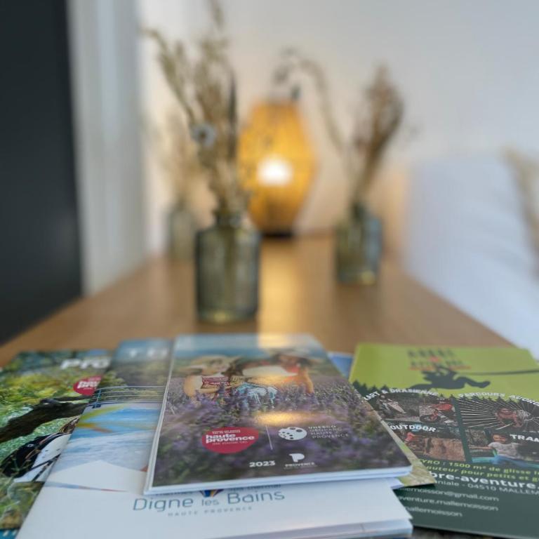 Studio spacieux centre-ville avec ascenseur - Le Bohème - Studio avec Canapé-Lit - 13