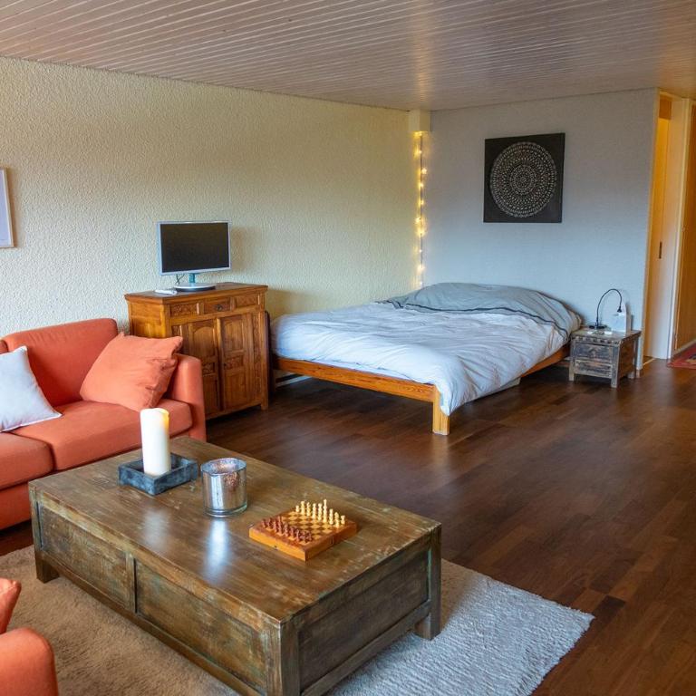 Cosy studio on the ski slopes - Apartamento de 1 dormitorio - 3