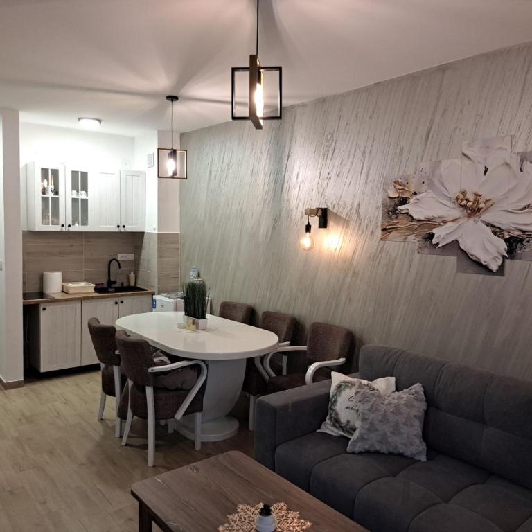 Sumski san 6 - Apartman sa 1 Spavaćom Sobom - 4