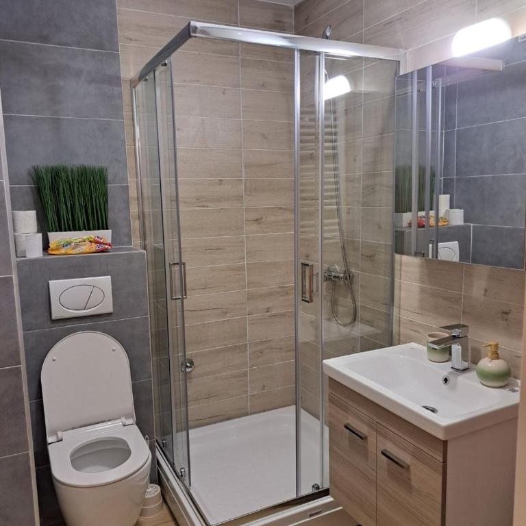 Sumski san 6 - Apartman sa 1 Spavaćom Sobom - 7