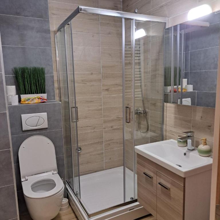 Sumski san 6 - Apartman sa 1 Spavaćom Sobom - 8