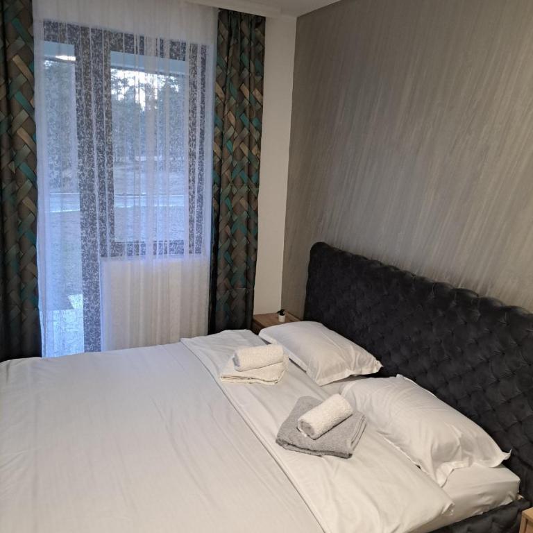 Sumski san 6 - Apartman sa 1 Spavaćom Sobom - 9