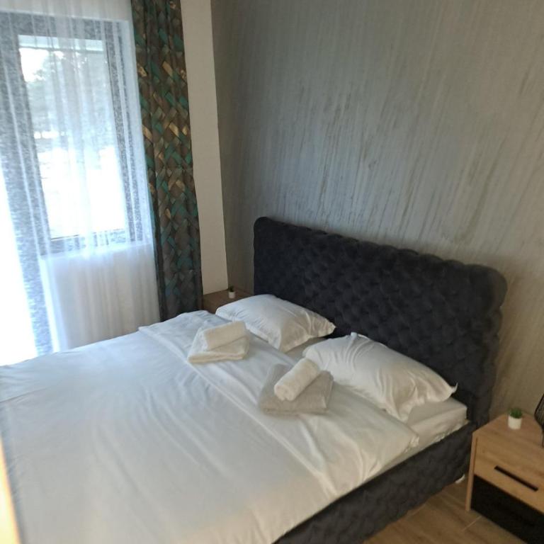 Sumski san 6 - Apartman sa 1 Spavaćom Sobom - 10