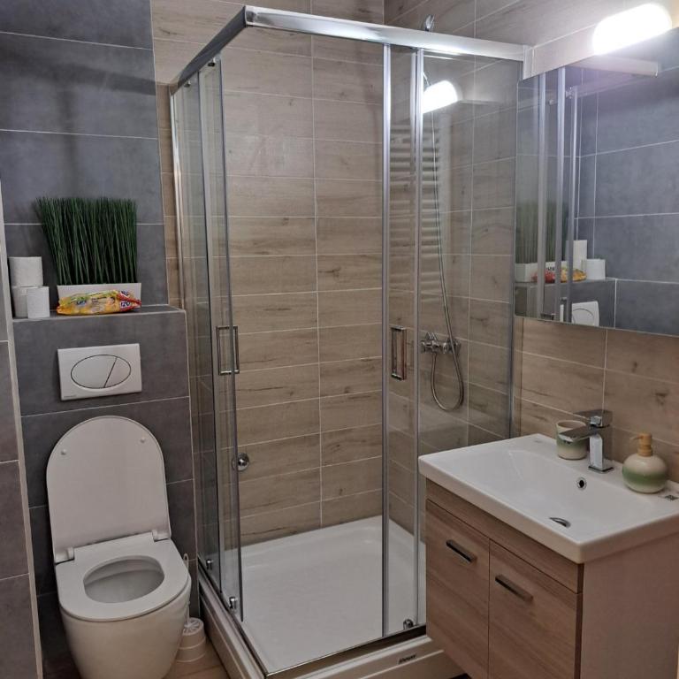 Sumski san 6 - Apartman sa 1 Spavaćom Sobom - 11