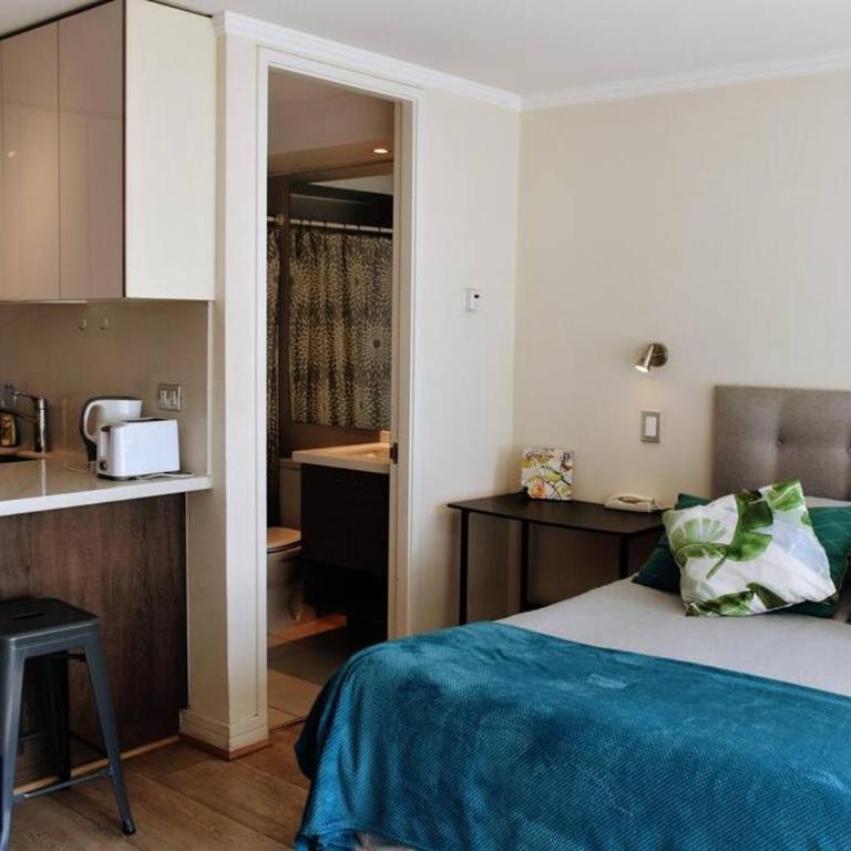 Arauco Apartment - Apartamento de 1 dormitorio - 4