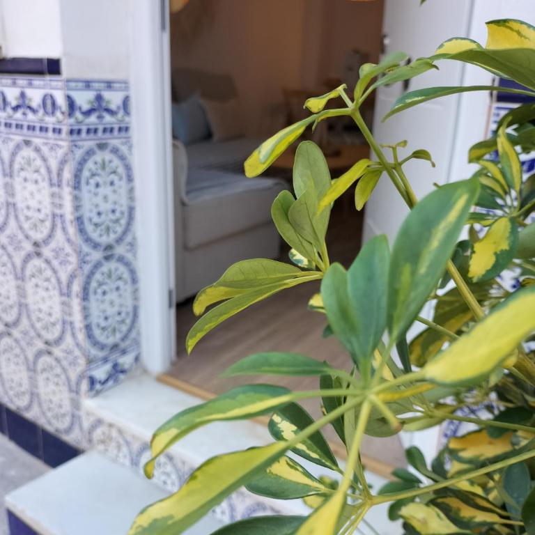 Rincón del mar en Málaga - Casa de 2 dormitorios - 50