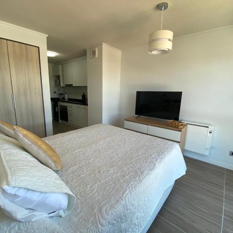 Departamento Studio Isla Teja - One-Bedroom Apartment - 10
