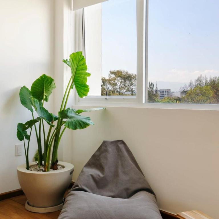Stunning penthouse with terrace in Condesa - Radiant Penthouse with Terrace in Condesa - 24