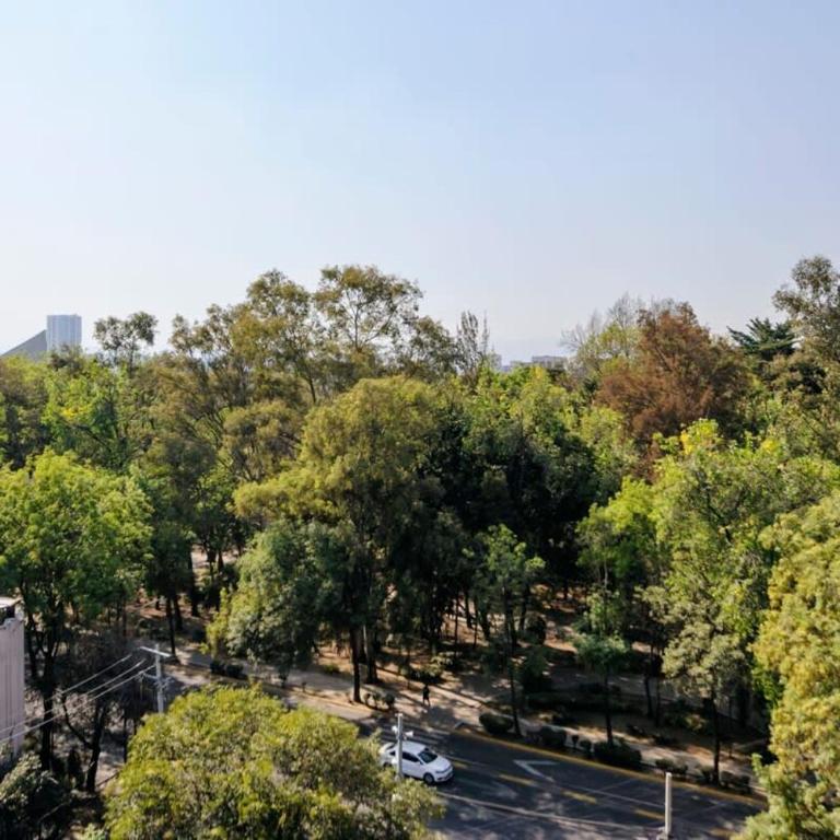 Stunning penthouse with terrace in Condesa - Radiant Penthouse with Terrace in Condesa - 26