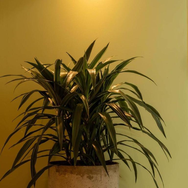 Luxury Living in Parque Lleras & Full House - Villa - 9