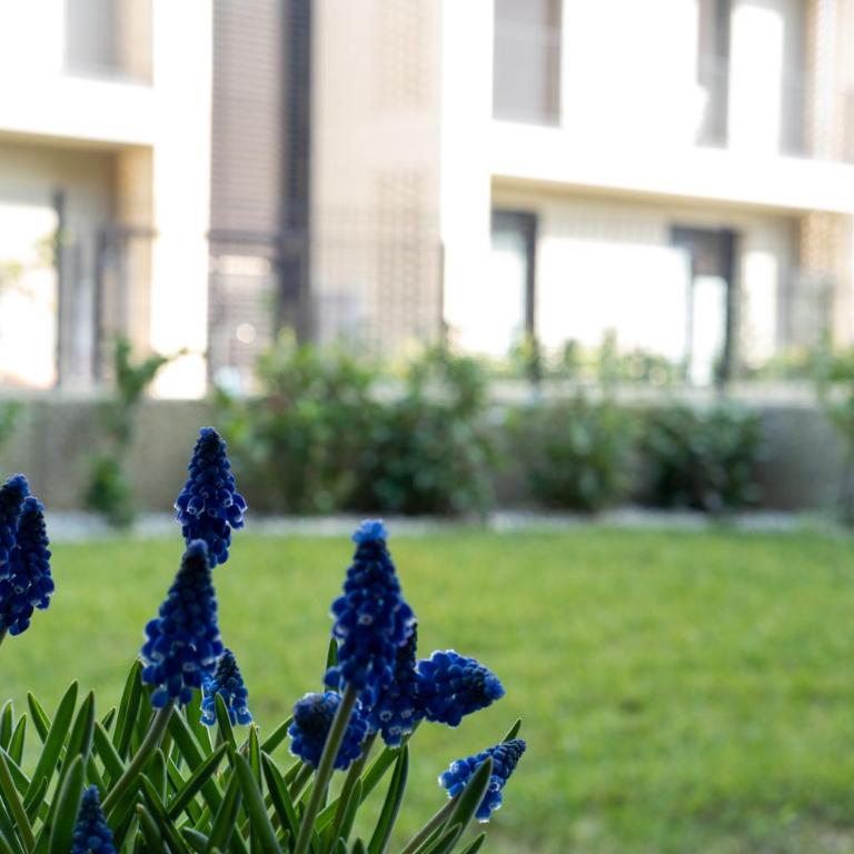 residence borgo secolo - Casa con 2 Camere da Letto - 17